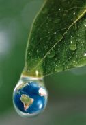 World in a Dewdrop